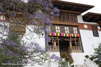 the Dzong