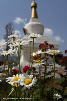 The Dzong, Bhutan