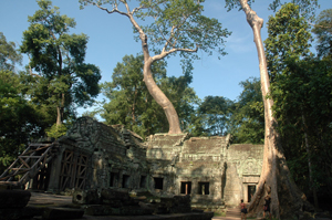 Ta Prohm