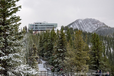 Sulphur Mountain