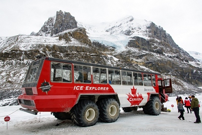 Columbia Icefields