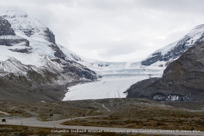 The Glaciers