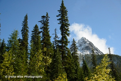 Jasper National Park