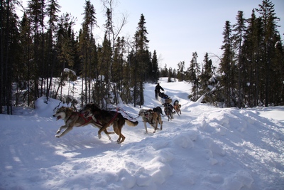 Dog sledding in Yellowknife