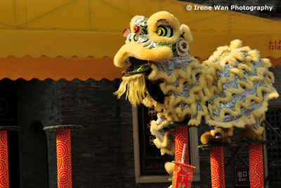 Lion Dacing in Foshan