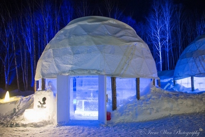 Ice Village