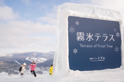 Terrace of Frost Trees in Tomamu