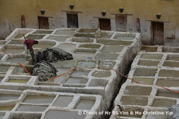 Fez Tannery