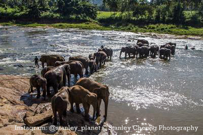 Elephant Orphanage