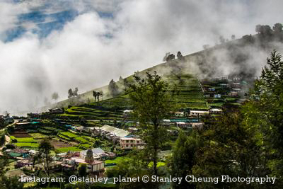 Tea Plantation in Nurwara Eliya